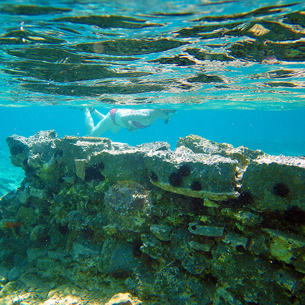 Elounda (région). Ruines minoennes submergées du village d’Olous.